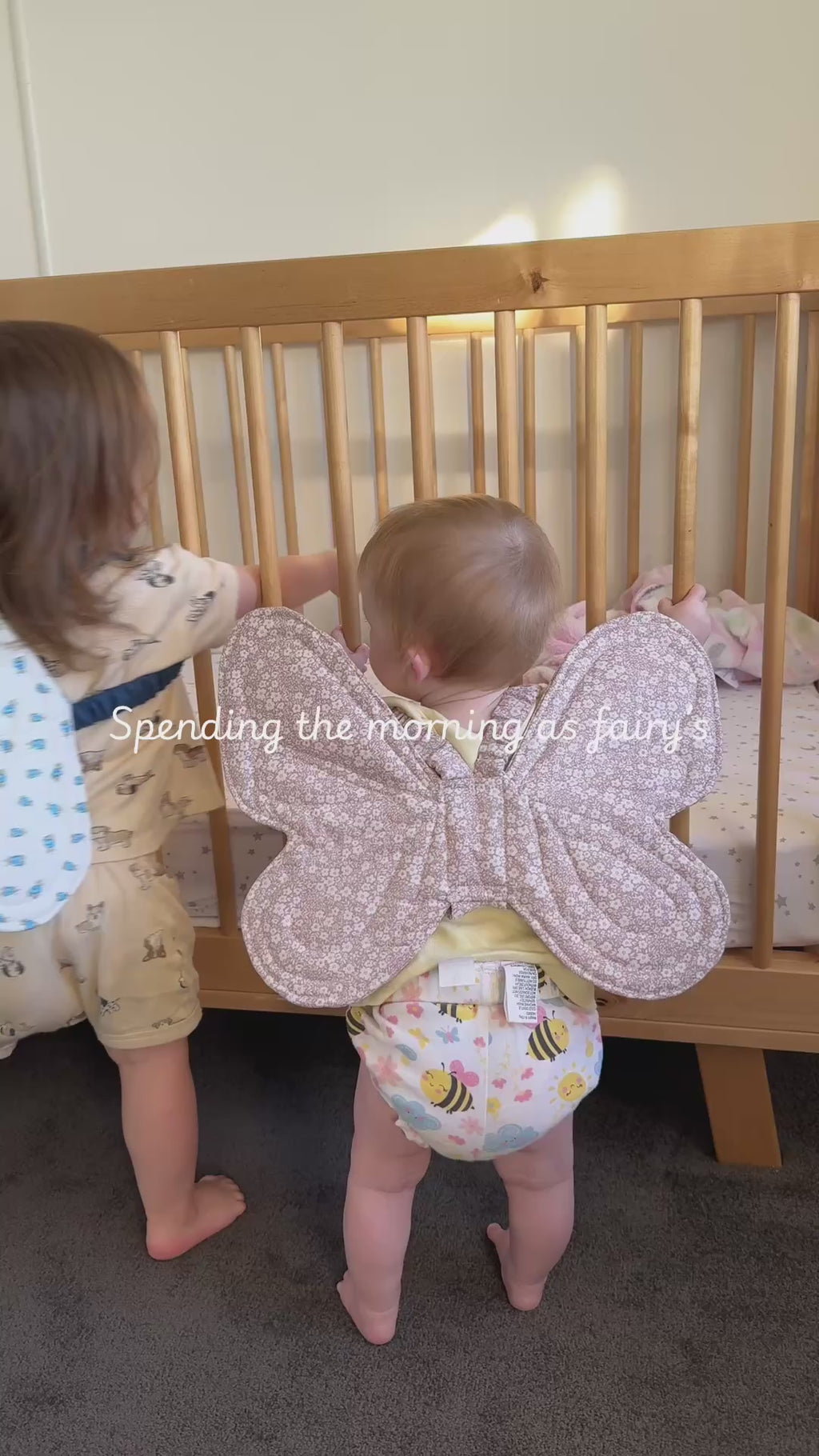 Penelope fairy wings